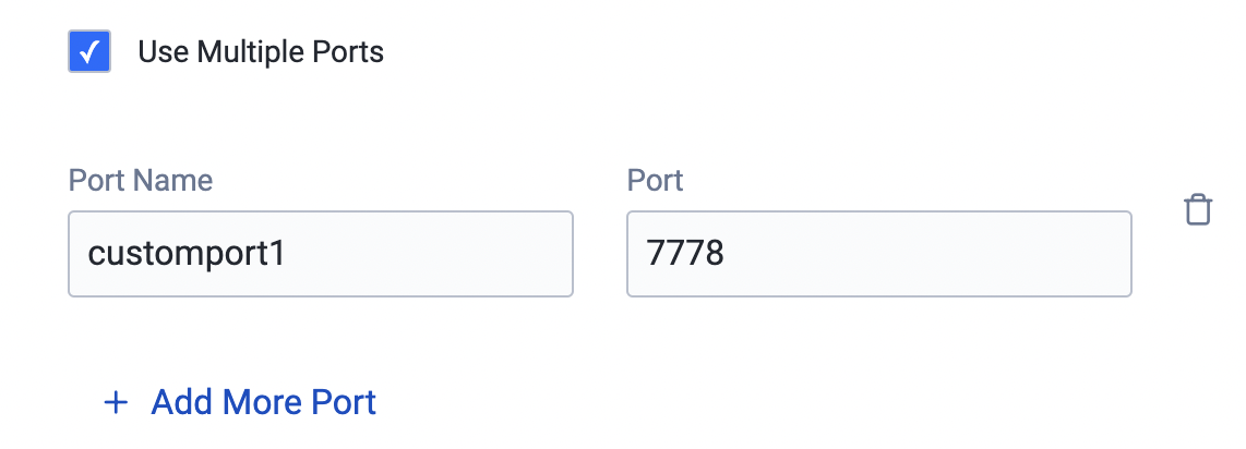 Multiple Ports section